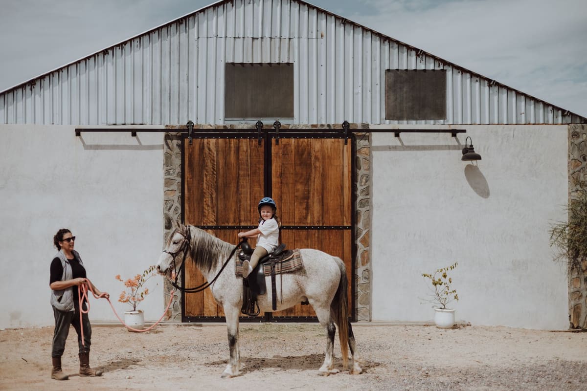 Jeune cavalière montant un poney Connemara gris au pas en carrière