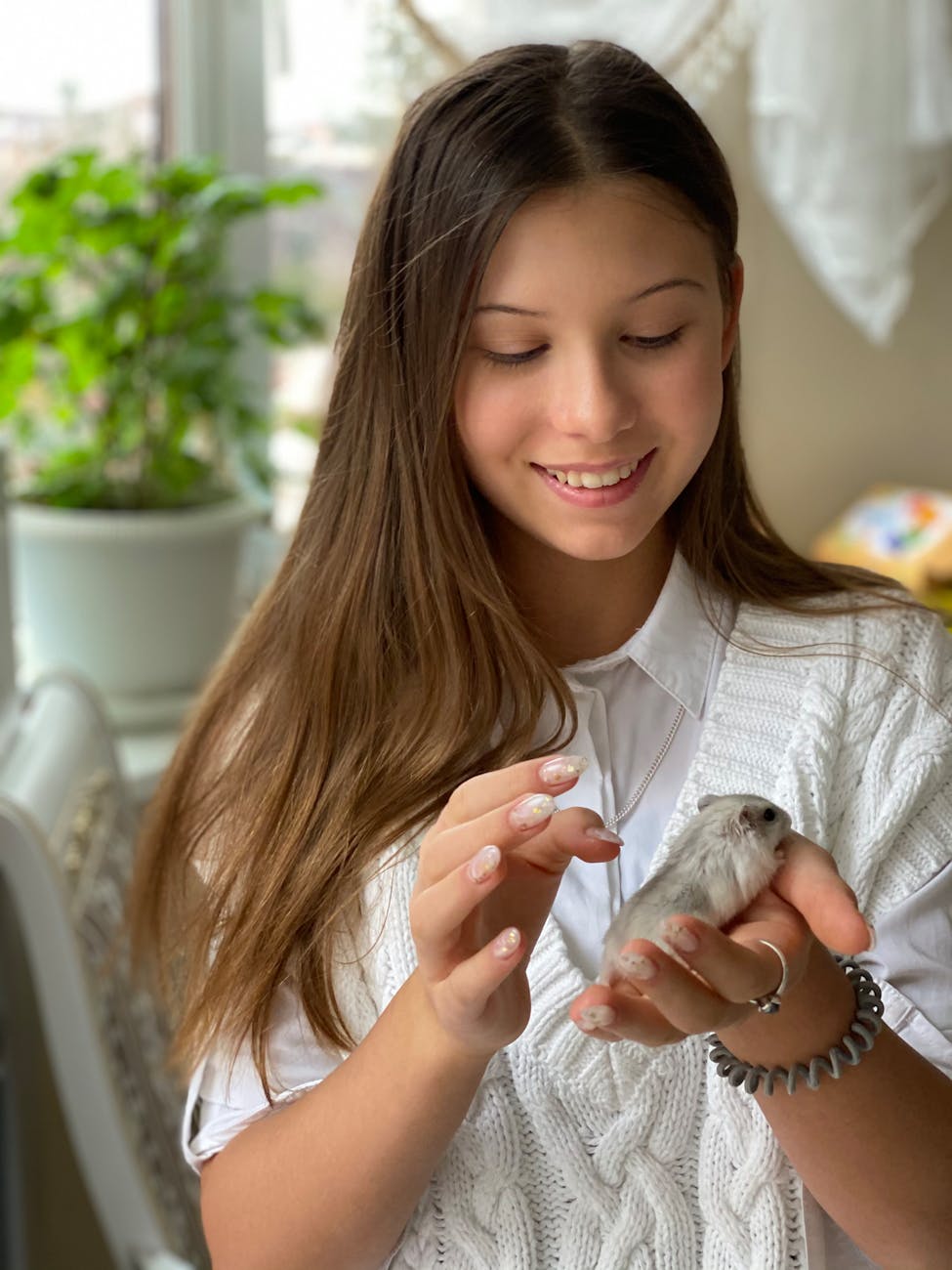 Cage cochon d’Inde : accessoires essentiels pour un habitat sûr