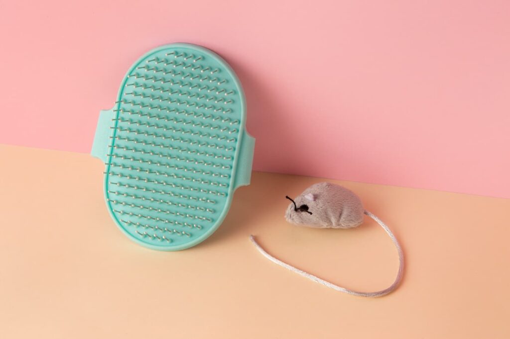 durée de vie hamster