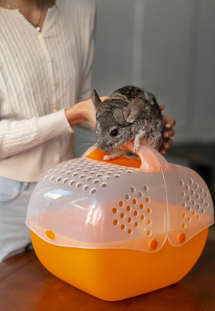 caisse de transport pour lapin